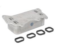 Radiatore olio, Olio motore THERMOTEC D4B015TT per BMW 3 (E90) 2 2004-2011