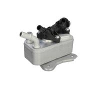 THERMOTEC Radiatore olio motore D4B033TT per BMW 5 Touring F11 530d 525d X5 E70