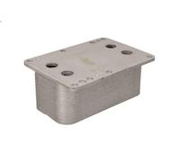 Radiatore olio, olio motore THERMOTEC D4R008TT