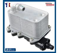 Radiatore Olio Refrigerante Per BMW E60 E61 E63 E64 E65 E66 E67 17212249465