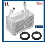 Radiatore Olio Refrigeratore per BMW X5 (E53) Di 2000 A 2006 - 17101439112