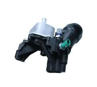 MAXGEAR Radiatore olio, Cambio automatico