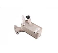 Radiatore olio servosterzo B10879 Borsehung per VW SKODA SEAT