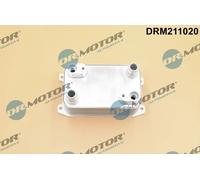 Radiatore olio servosterzo DRM211020 Dr.Motor Automotive per AUDI A8 D3