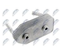 NTY Radiatore olio, Cambio automatico compatibile con AUDI SEAT SKODA VW VAG