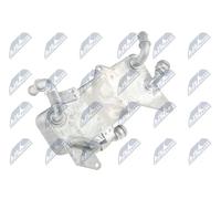 NTY Radiatore olio, Cambio automatico compatibile con AUDI VAG CCL-AU-036