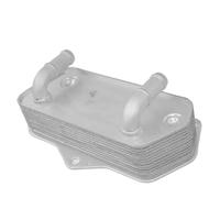 Radiatore Olio Trasmissione 02E409061B 02E409061E Per VW Per Maggiolino Per Eos Per Golf GTI Per Passat Per Rabbit Per Tiguan Per Caddy Radiatore Motore