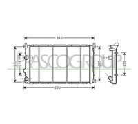 PRASCO DS960R003 Radiatore motore