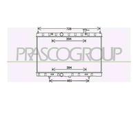 PRASCO DS836R001 Radiatore motore
