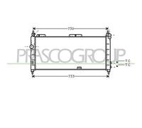 PRASCO OP028R005 Radiatore motore