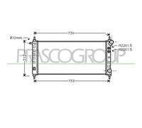 PRASCO Radiatore motore