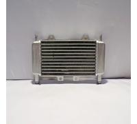 RADIATORE PER PIAGGIO GILERA DNA RUNNER 50 ZIP SP 50 (299389)