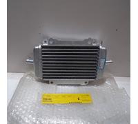 RADIATORE PER PIAGGIO GILERA DNA RUNNER POGGIALI PUREJET ZIP SP 50 (299389)