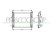 PRASCO RN322R010 Radiatore motore