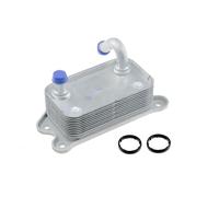 NTY Radiatore olio, Olio motore compatibile con VOLVO CCL-VV-000