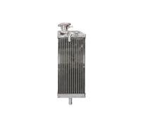 Radiatore, raffreddamento motore 4 RIDE RAD-119R