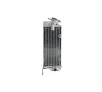 Radiatore, raffreddamento motore 4 RIDE RAD-123