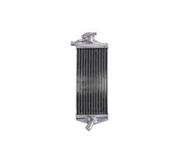 Radiatore, raffreddamento motore 4 RIDE RAD-168R