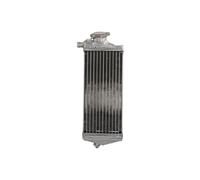 Radiatore, raffreddamento motore 4 RIDE RAD-169R