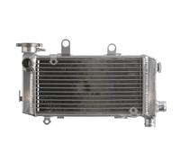 Radiatore, raffreddamento motore 4 RIDE RAD-628