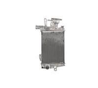 Radiatore, raffreddamento motore 4 RIDE RAD-643