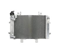 Radiatore, raffreddamento motore 4 RIDE RAD-666