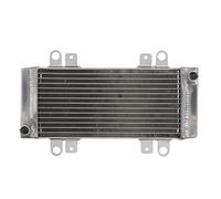 Radiatore, raffreddamento motore 4 RIDE RAD-667