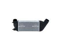 Radiatore Raffreddamento Motore Intercooler Per Citroën C8 Lancia Phedra