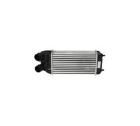 Radiatore Raffreddamento Motore Intercooler per Peugeot Opel Citroën DS