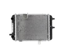 NISSENS 60363 Radiatore motore