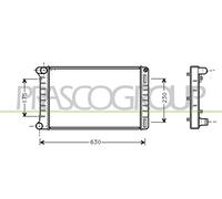PRASCO FT133R003 Radiatore motore