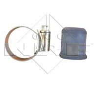 Radiatore, Raffreddamento motore per FORD TOURNEO CONNECT TRANSIT CONNECT