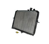 Radiatore, raffreddamento motore THERMOTEC D70304TT