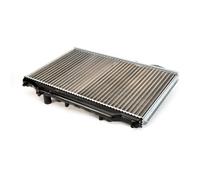 Radiatore, raffreddamento motore THERMOTEC D73008TT