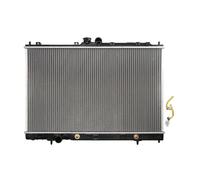 Radiatore, raffreddamento motore THERMOTEC D75006TT