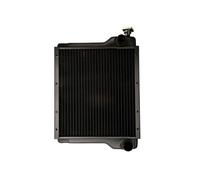 Radiatore, Raffreddamento Motore - THERMOTEC D7AG005TT