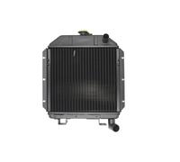 Thermotec Radiatore motore D7AG006TT Raffreddamento motore