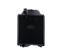 Radiatore, Raffreddamento Motore - THERMOTEC D7AG079TT