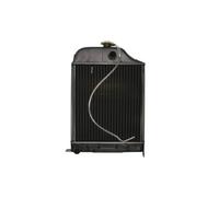Thermotec Radiatore raffreddamento motore D7AG113TT