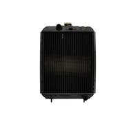 Radiatore, raffreddamento motore THERMOTEC D7AG163TT