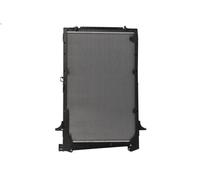 Radiatore, Raffreddamento motore THERMOTEC D7DA013TT per CF 85 12.58 2001-2013