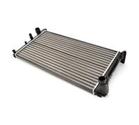 Thermotec Radiatore raffreddamento motore D7F029TT per Fiat Panda (169) 1.1/1.2