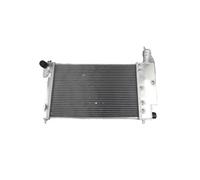 Radiatore Raffreddamento Per Citroen Per Saxo-VTR 1996 1997 1998 1999 2000 2001 2002 2003 2004 Radiatore In Alluminio A 2 File CAVINBDZ