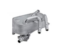 Radiatore Raffreddatore D'Olio Motore Per BMW Serie 1 E82 E88 3 E90 E91 E92