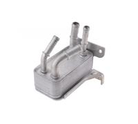 Radiatore Raffreddatore D'olio Motore Per Ford Fiesta VII H6BG7J389AF