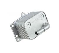 Radiatore Raffreddatore D'Olio Motore Per Peugeot 307 Citroën C5 C8 Jumpy C4