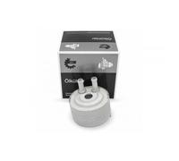Radiatore Refrigerante D'Olio Motore Per Nissan Cabstar NP300 NT400