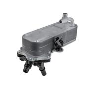 Radiatore Refrigeratore Olio Scatola Automatico Per BMW Série 1 17217600553