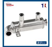 Radiatore Respirazione Scarico per Berlingo C2 C3 C4 C5 Jumpy 1.6 HDI 90 110