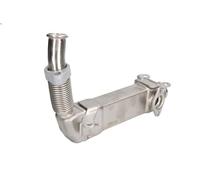 Radiatore, Ricircolo gas scarico ENGITECH ENT520020 per BMW 3 (E46) 2 2001-2005